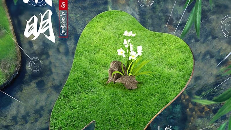 全瓷牙哪个牌子好耐用